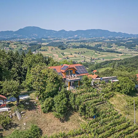 Vineyard Vrbek *