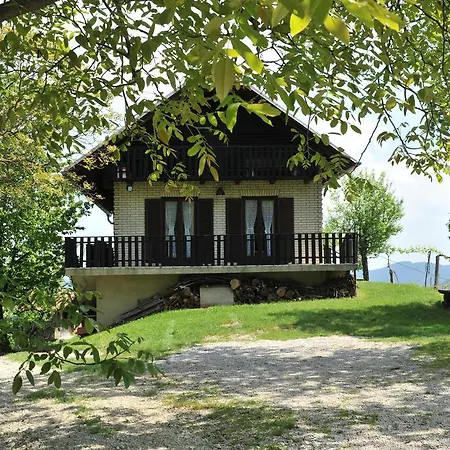Vineyard Vrbek