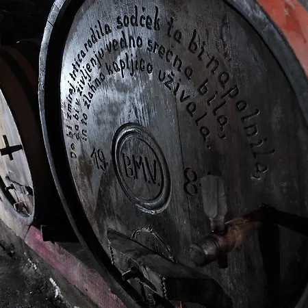 Hébergement de vacances Vineyard Vrbek