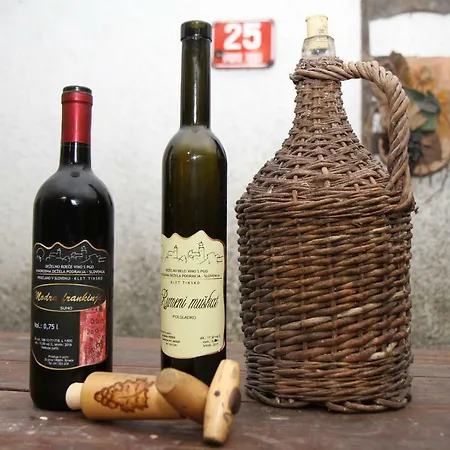 Vineyard Vrbek Hébergement de vacances *